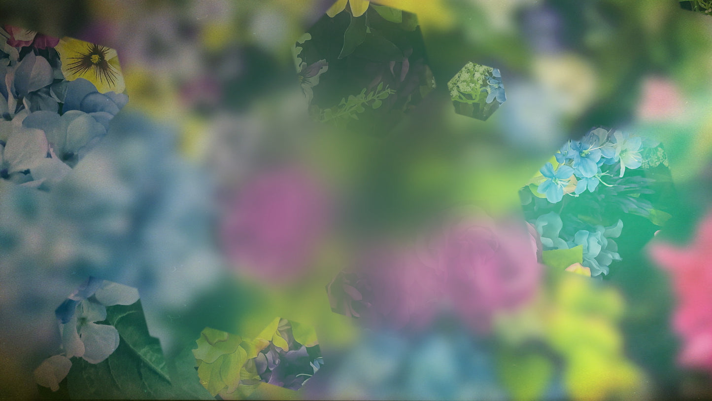 Spring Journey 14 Still