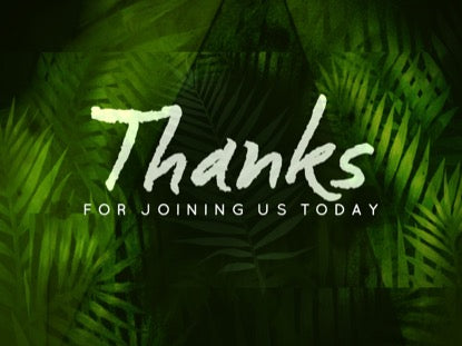 Palm Leaf Closing Motion