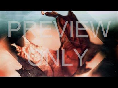 Breath Of Fall 3 Graphic