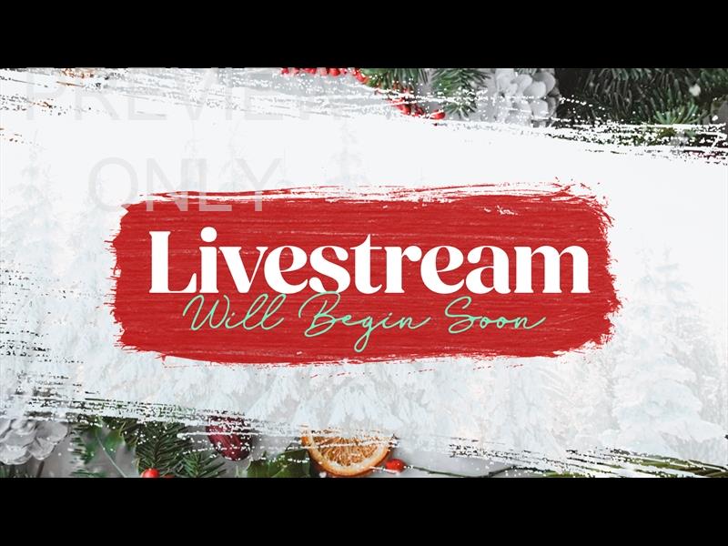 Comfort And Joy: Livestream Still