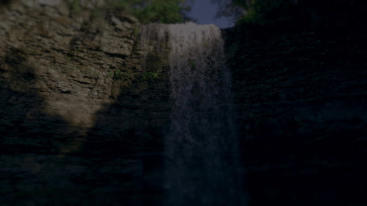 Nature'S Force 5 Darken