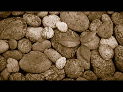 Parables: The Seed Scatterer