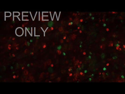 Paint Canvas Christmas Lights Still