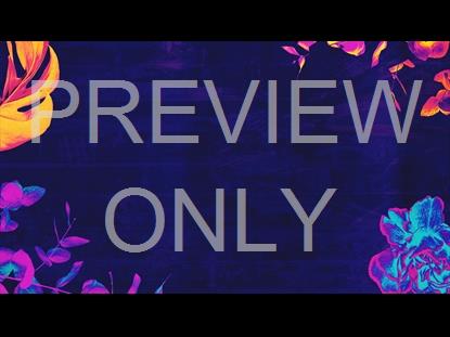 Just The Beginning Still 3