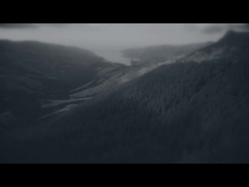 Aerial Bliss 5 Alt