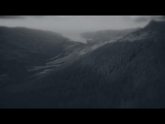 Aerial Bliss 5 Alt
