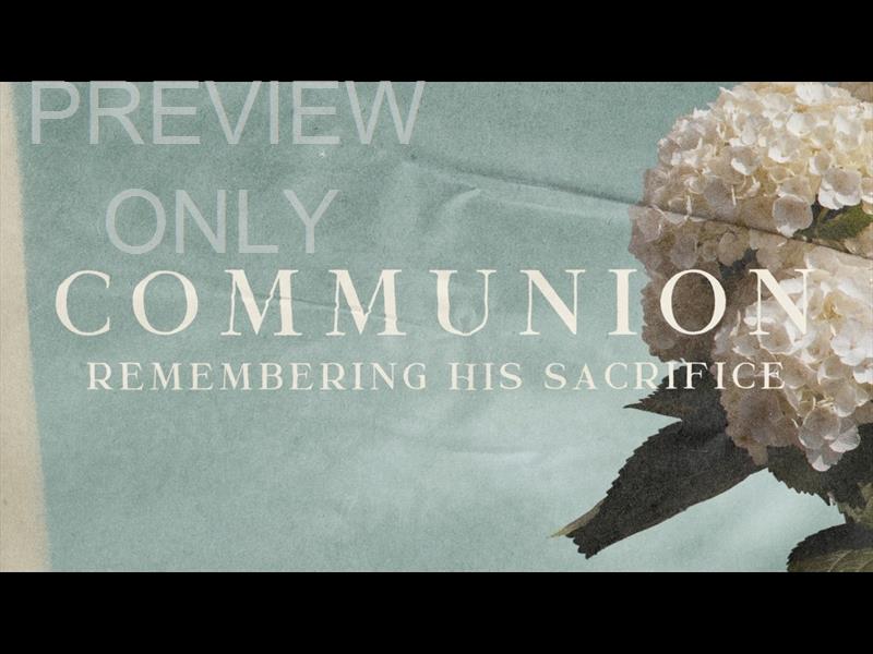 Hydrangea Communion Still