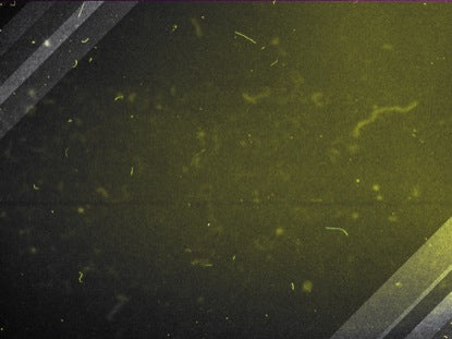 Dust Lines Yellow