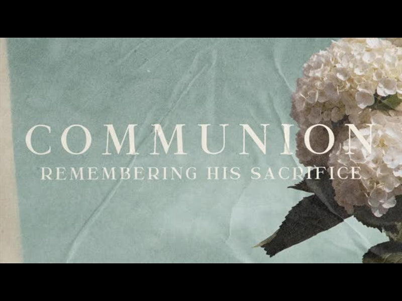 Hydrangea Communion