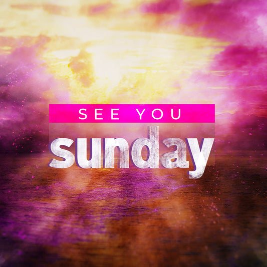 Sunday Vivid Nature