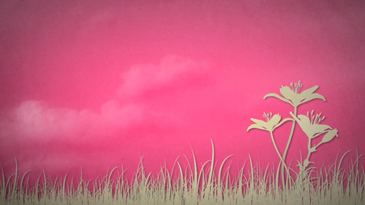 Pink Floral 01 Still