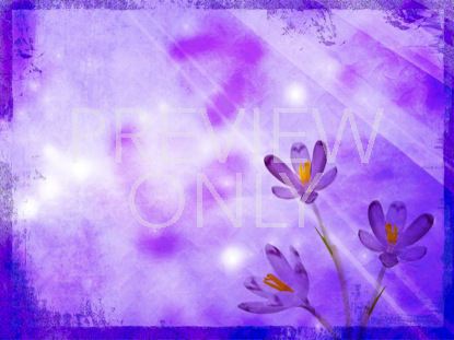 Lavender Light Shimmer