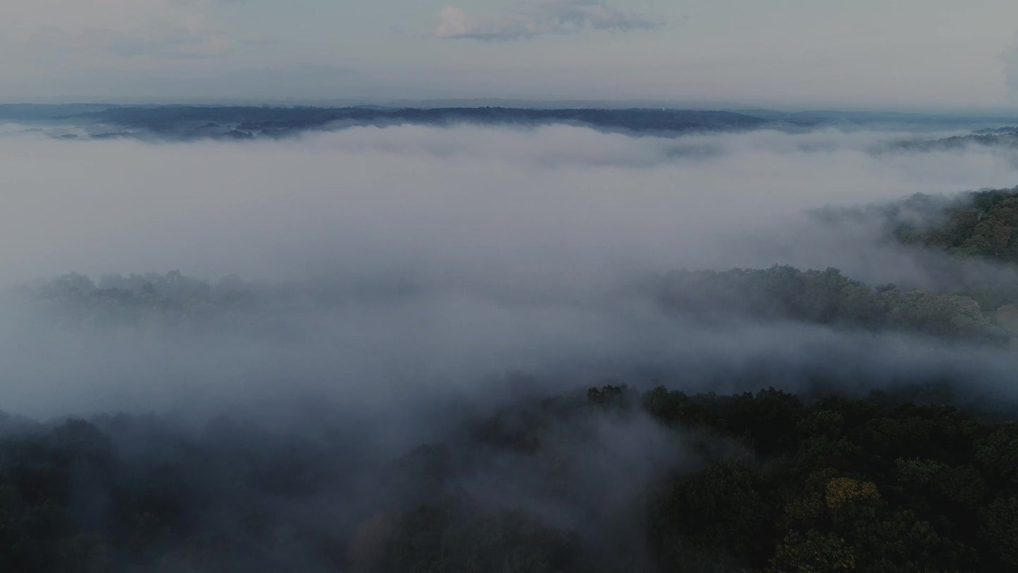 Autumn Scripture Aerial Still