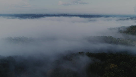 Autumn Scripture Aerial