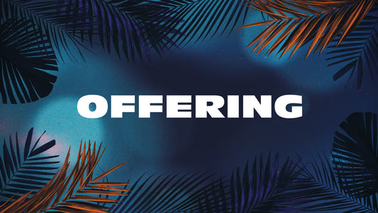 Vibrant Palms Offering