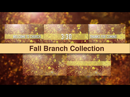 Fall Branch Collection