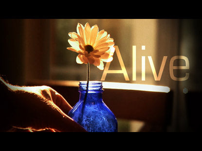 Alive