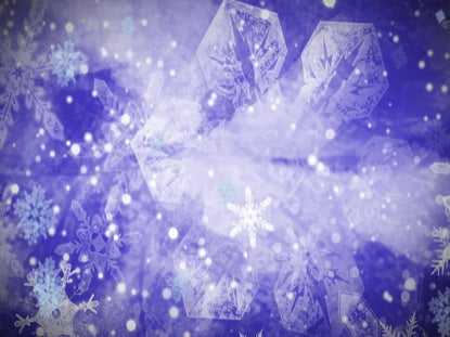 Winter Delight 5
