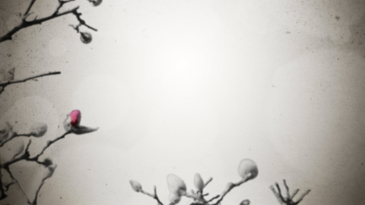 New Life Blank Still