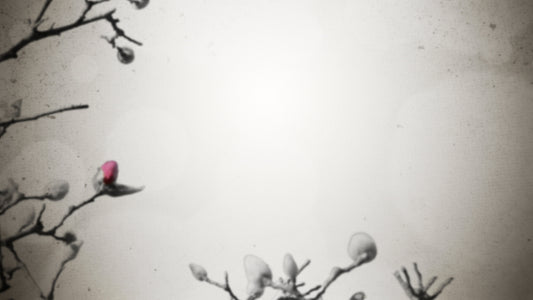 New Life Blank Still