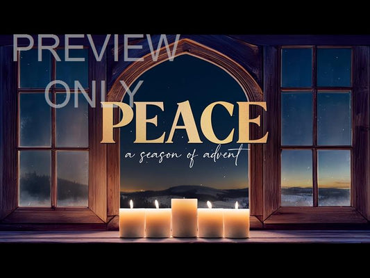 Winter Advent Peace Still