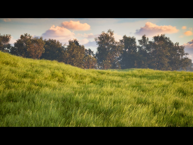 Prairie Meadow Drift