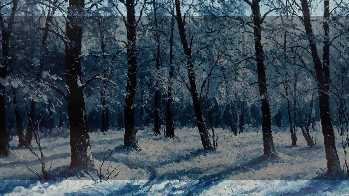Snow Day 8 Alt