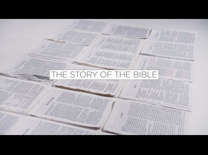 Story Of The Bible