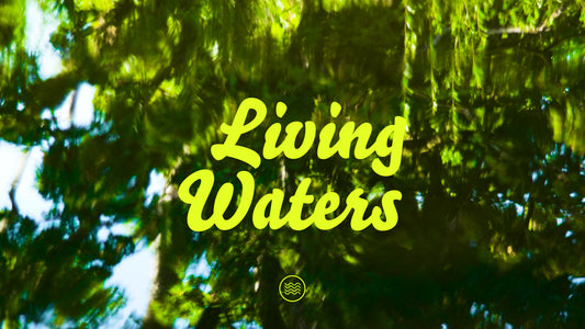 Living Waters Collection