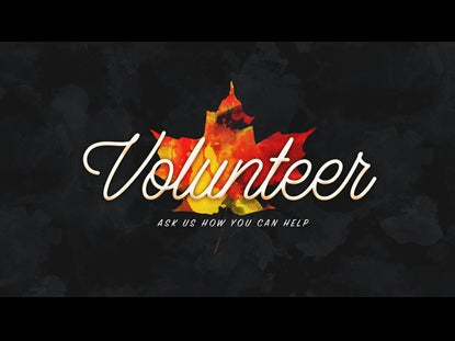 Painted Leaves Volunteer