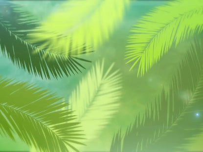 Palm Sunday Branches