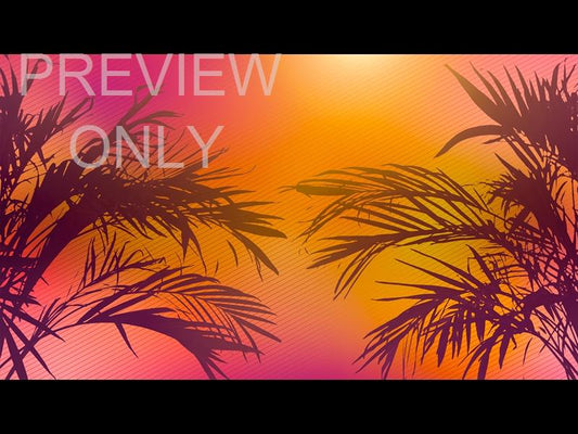 Sun Palms 3 Still