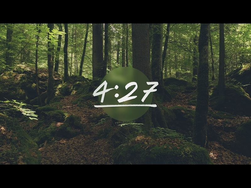 Deep Forest Countdown