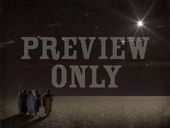 Desert Star