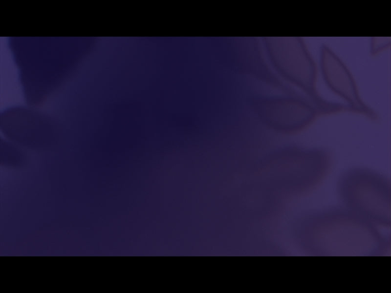 Velvet Fall Loop 05