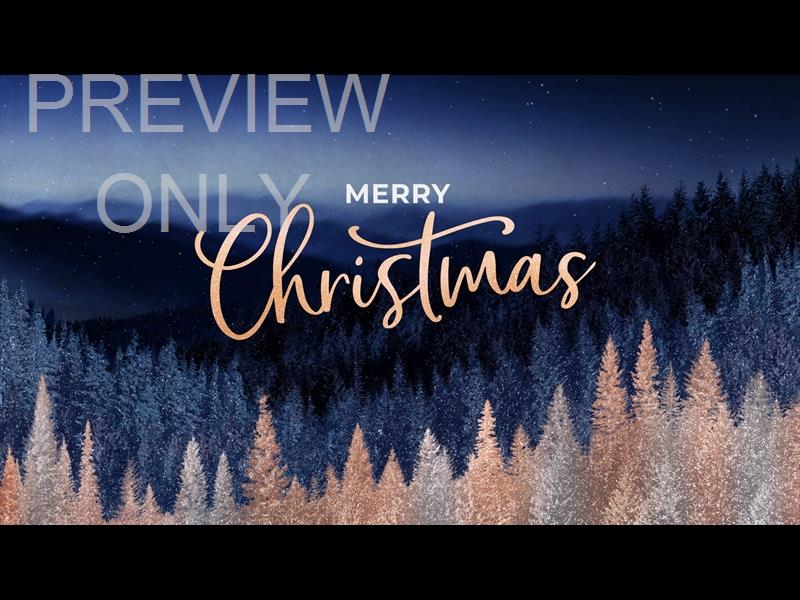 Sparkling Trees Merry Christmas Still