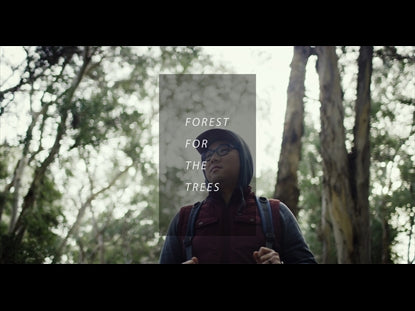 Forest For The Trees