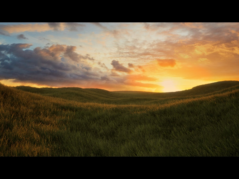 Prairie Longplay