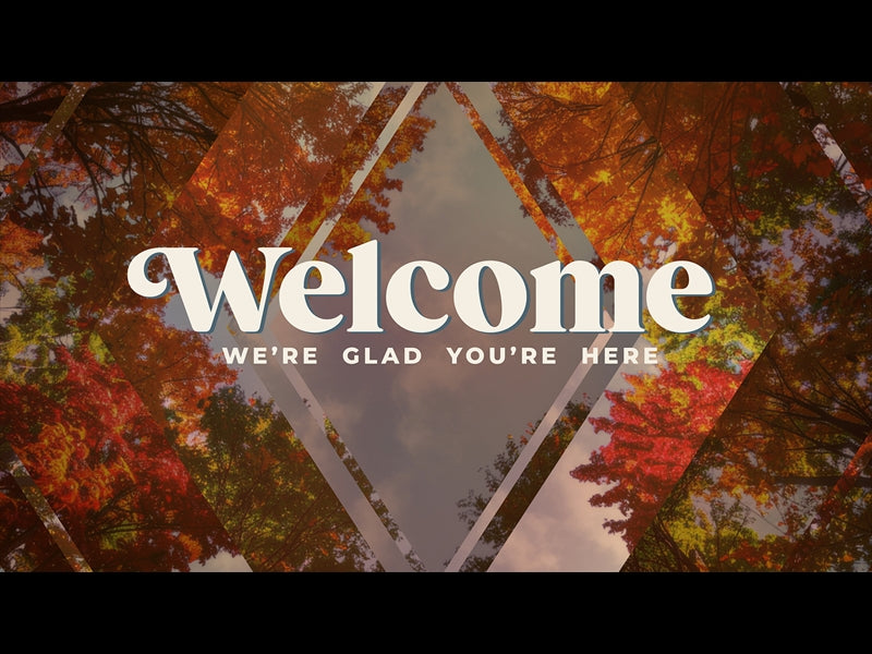 Fall Trees Welcome