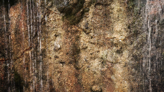 Mountain Textures Wet