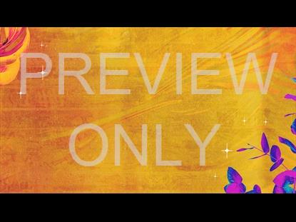 Just The Beginning Still 1