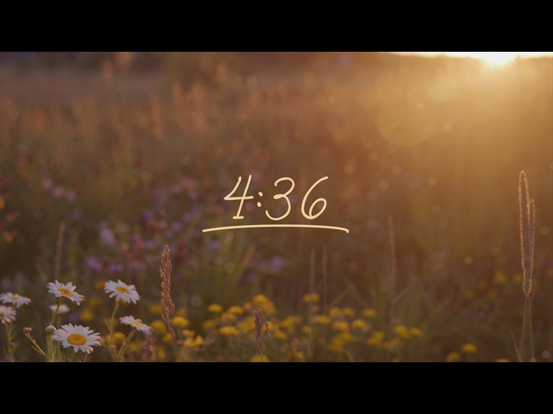 Summer Wildflowers Countdown