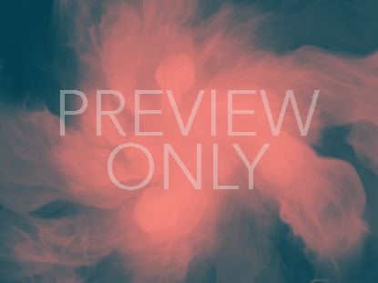 Consecrated Spirit Still 4