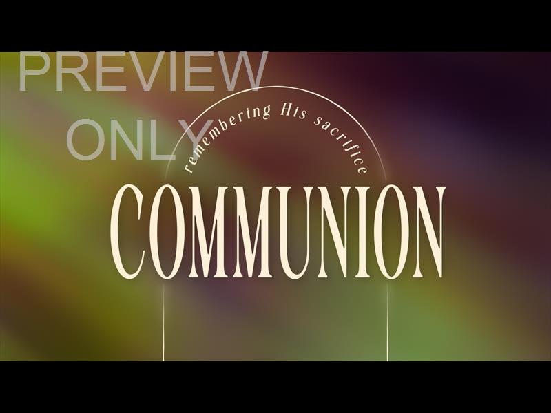 Forest Light Communion Still
