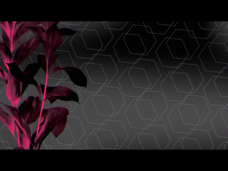 Neon Natro Loop 02