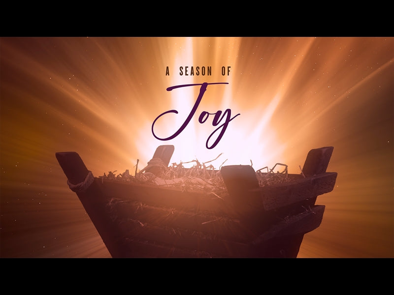 Christmas Manger Joy