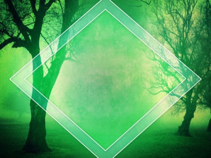 Autumn Forest 11 Motion