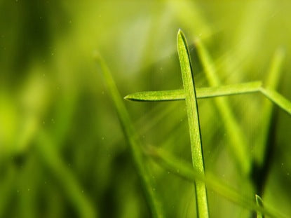 Cross In The Grass