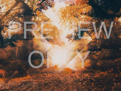 Rustic Autumn Still 1