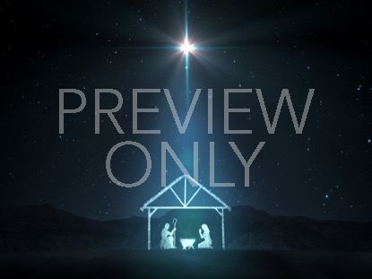 Starlight Nativity 9
